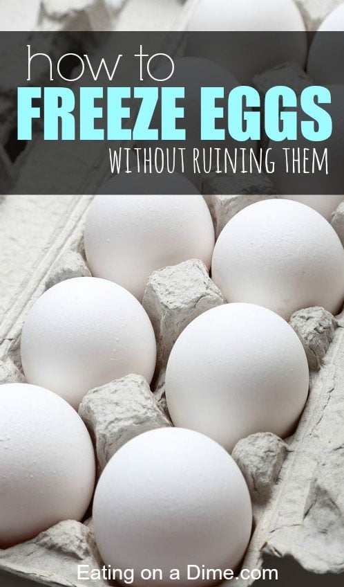 how-to-freeze-eggs-eating-on-a-dime