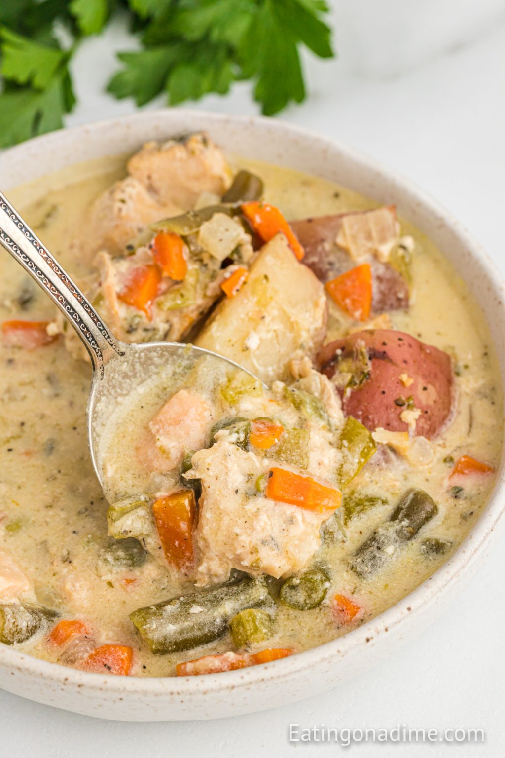 Slow Cooker Creamy Chicken Stew Recipe Chicken Stew Recipe