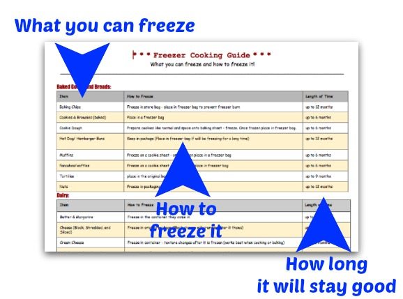 Freezing food is easy once you Download this FREE Freezer Cooking Guide. You will know what you can freeze and how to freeze it.