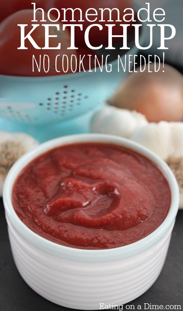 Easy Homemade Ketchup Recipe Eating on a Dime