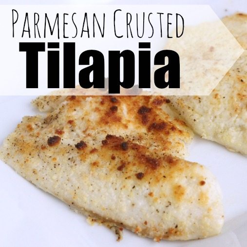 for two tilapia recipes baked (anyone Easy can recipe Tilapia make Parmesan Crusted