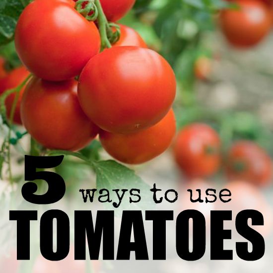 Ways to Use Ripe Tomatoes - Best Fresh Tomato Recipes - Cooking Tips ...