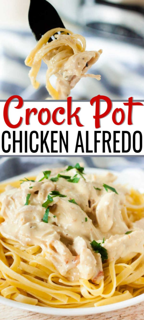Crock Pot Chicken Alfredo - Slow Cooker Chicken Alfredo Recipe