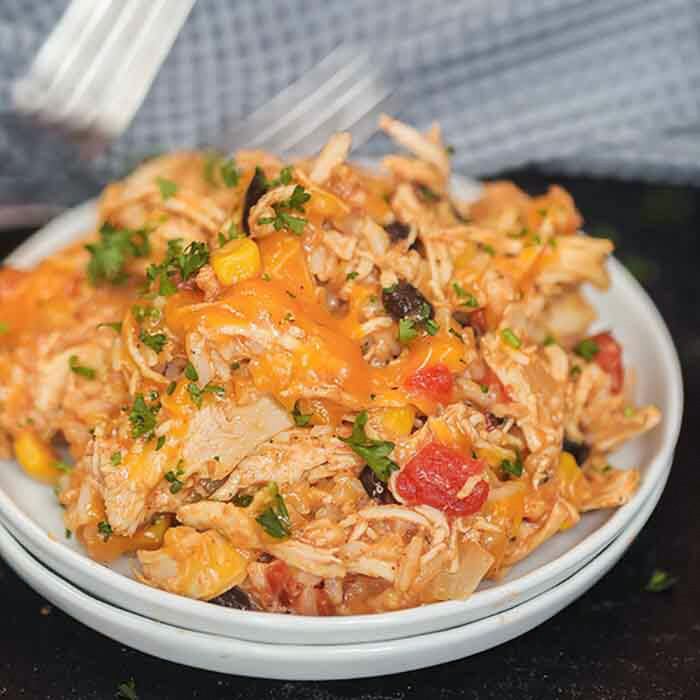 Crockpot Shredded Chicken {Great Freezer Meal} - Spend With Pennies