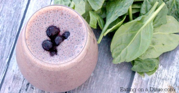 Blueberry Spinach Spirulina Smoothie - Healthy Little Vittles