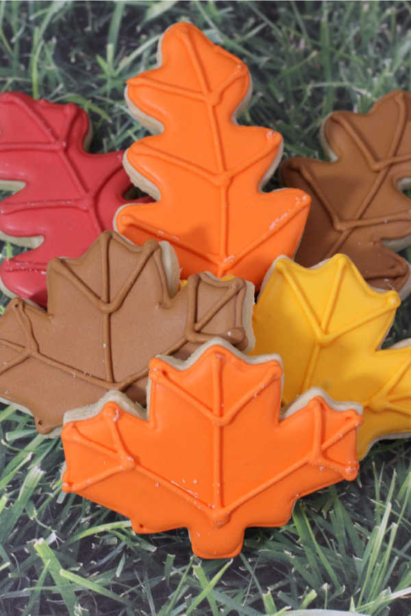 How To Make Decorated Parchment Fall Leaf Sugar Cookies
