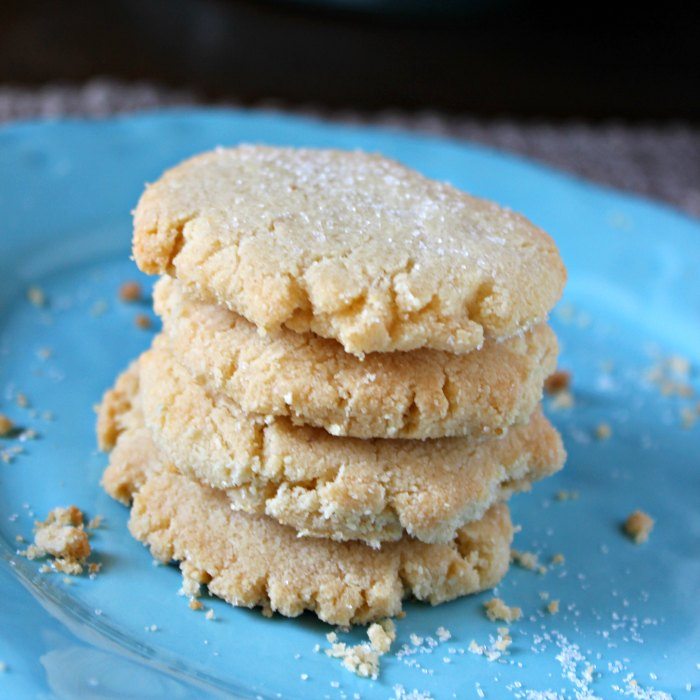 Gluten Free Cookies Recipe - Eating On A Dime