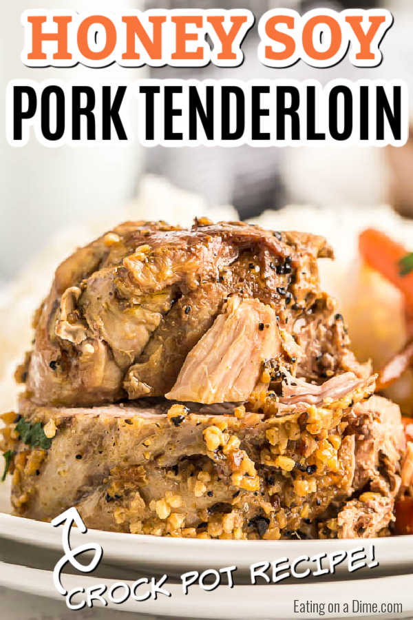 Slow Cooker Pork Tenderloin - amazing pork tenderloin slow cooker recipe