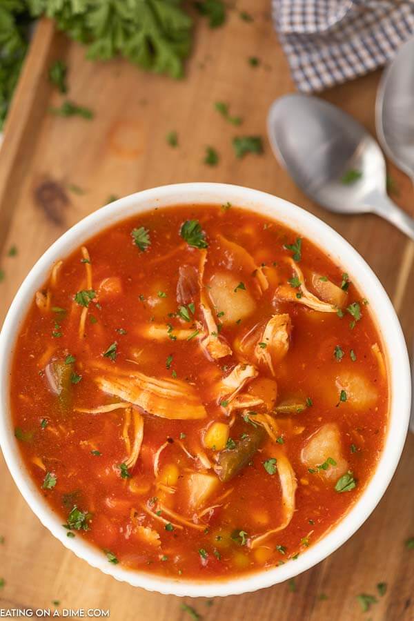 Electric Pressure Cooker Vegetable Soup (Easy Instant Pot Recipe) - Recipes  That Crock!