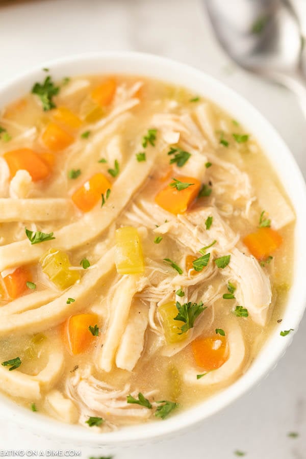 Instant Pot Chicken Noodle Soup Recipe - The Best Chicken Noodle Soup