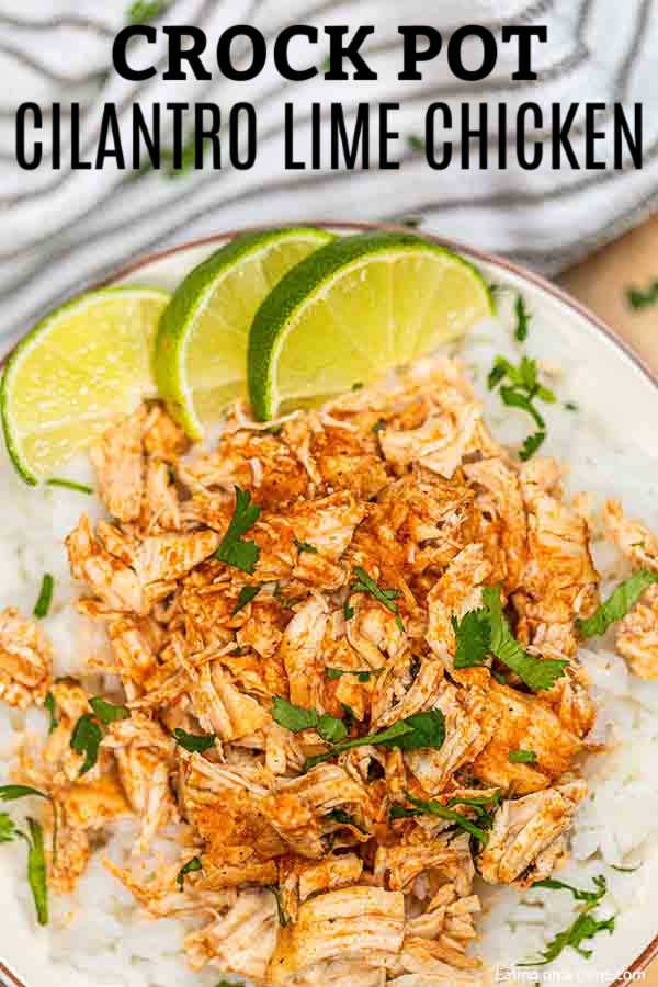 cilantro lime chicken and rice crockpot