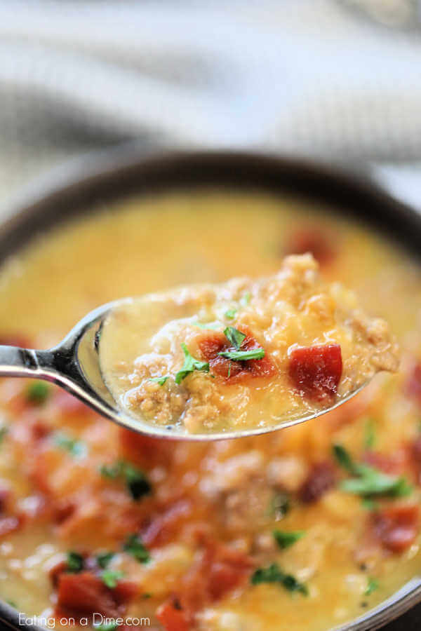 Featured image of post Recipe of Keto Bacon Cheeseburger Soup Instant Pot