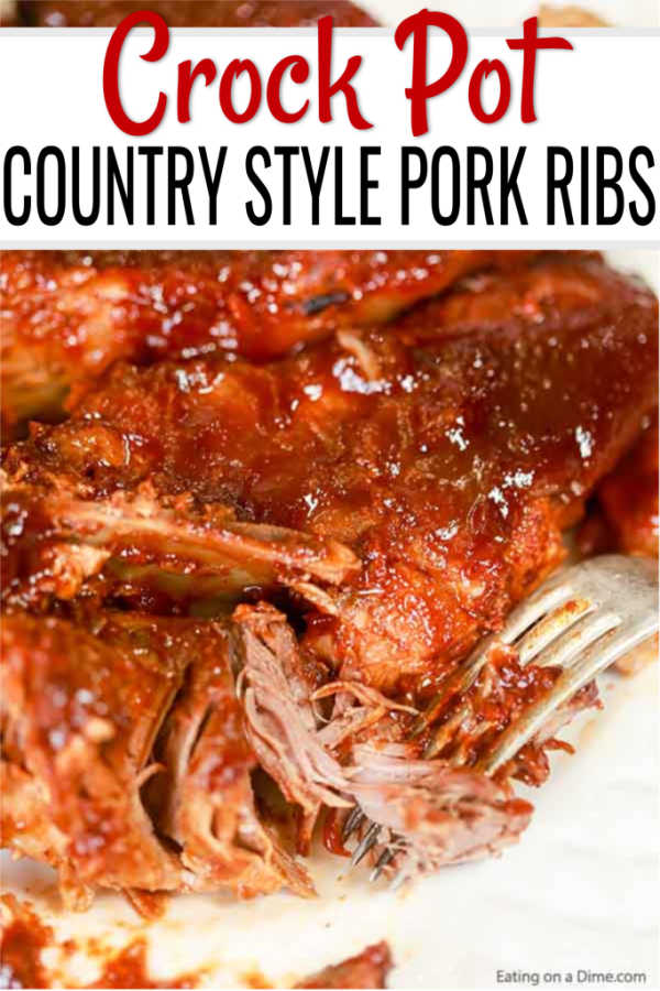 Country Style Pork Ribs (Crock Pot Recipe with VIDEO!)