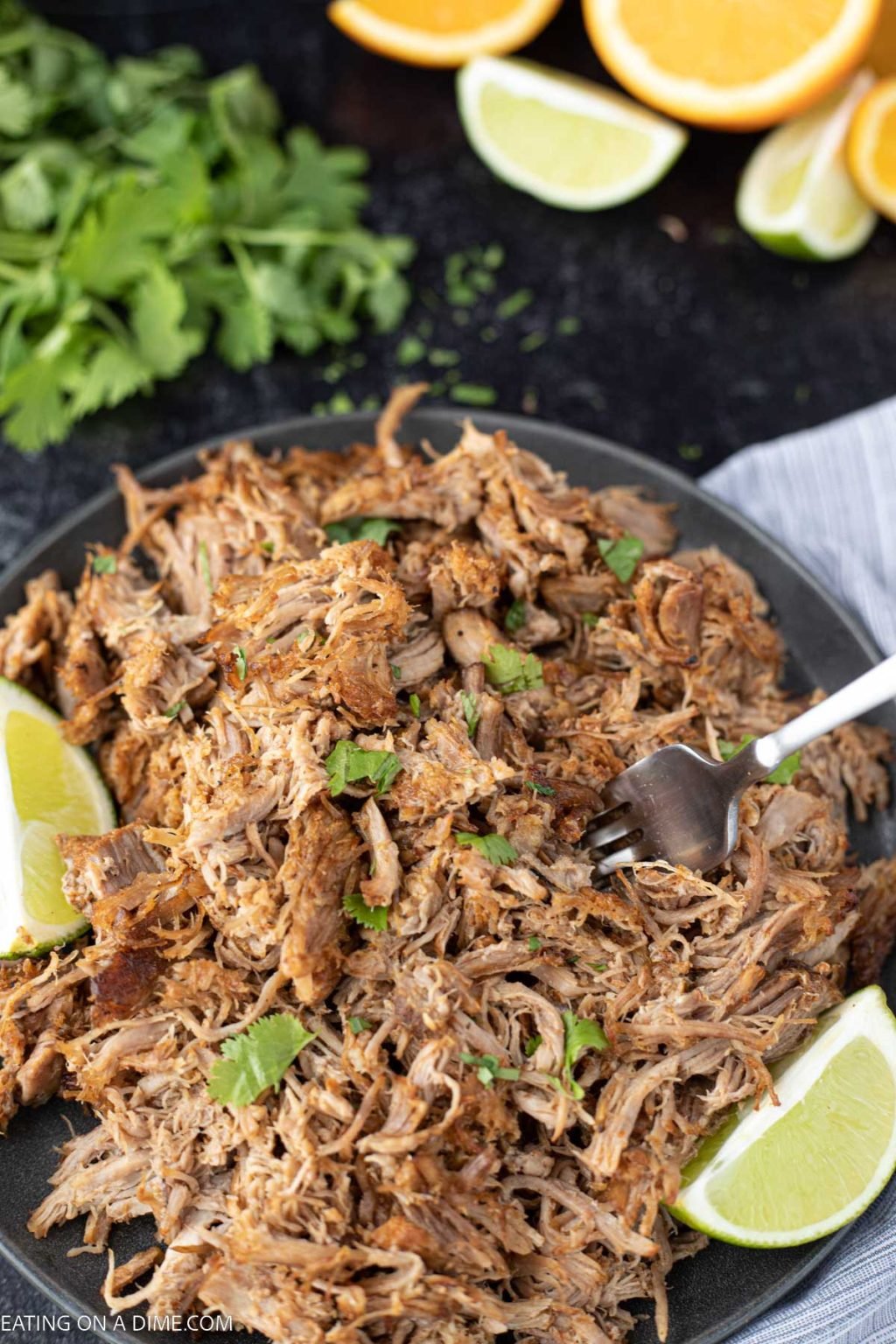 Slow Cooker Pork Carnitas Recipe Authentic Pork Carnitas