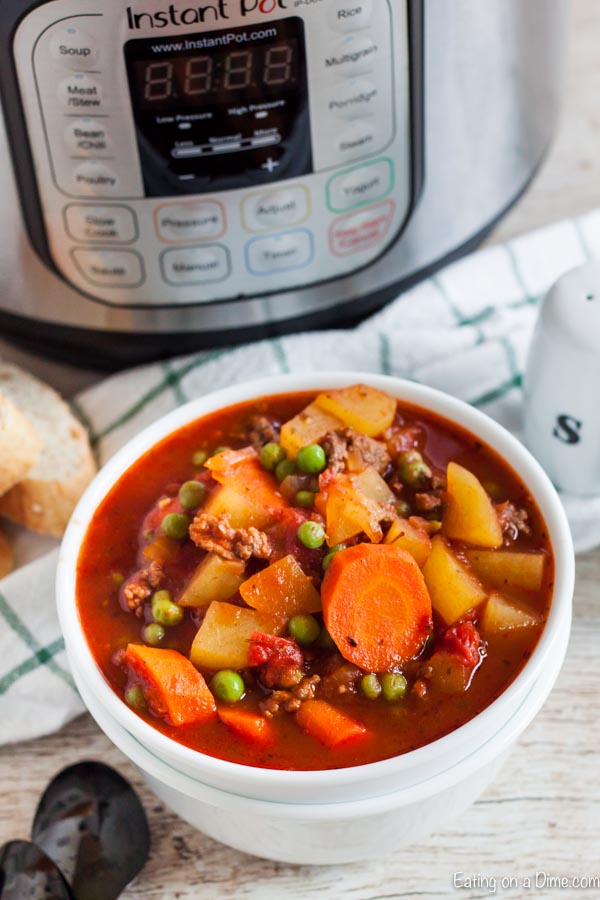 Instant Pot Ground Beef Stew Recipe easy instant pot