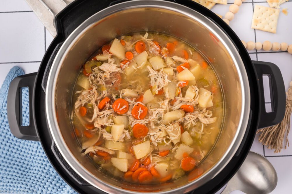 Instant Pot Chicken Stew Recipe, Ready in under 30 minutes!