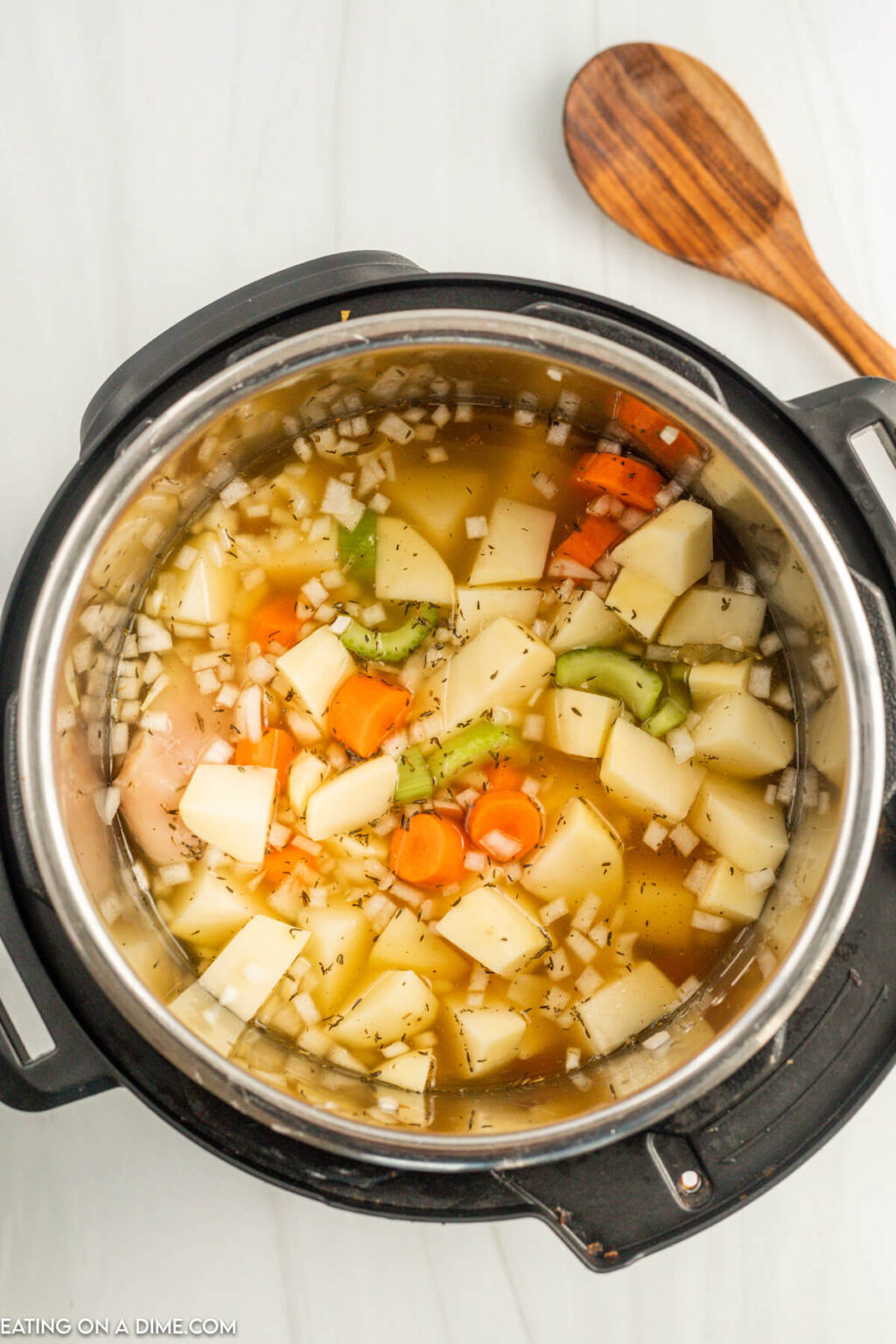 Instant Pot Chicken Stew Recipe, Ready in under 30 minutes!
