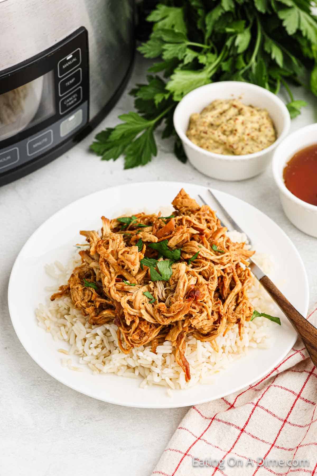 Shredded honey mustard chicken on white rice on a plate