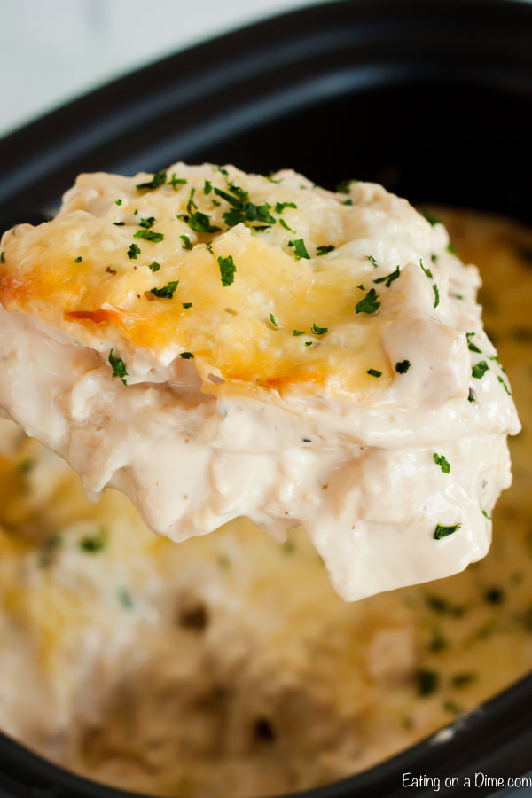 Crock Pot Chicken Alfredo Lasagna Recipe - easy alfredo ...