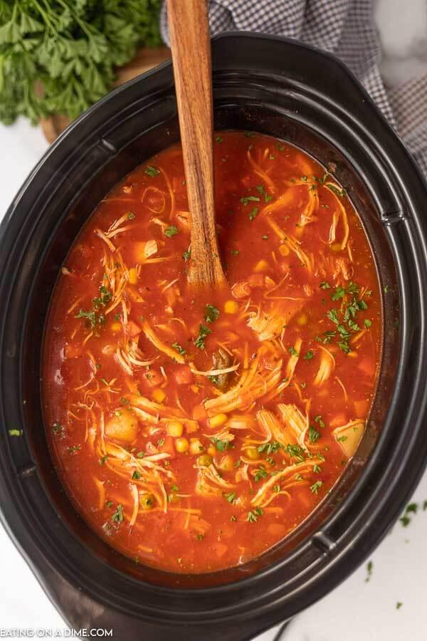 https://www.eatingonadime.com/wp-content/uploads/2020/01/crock-pot-chicken-vegetable-soup-3.jpg