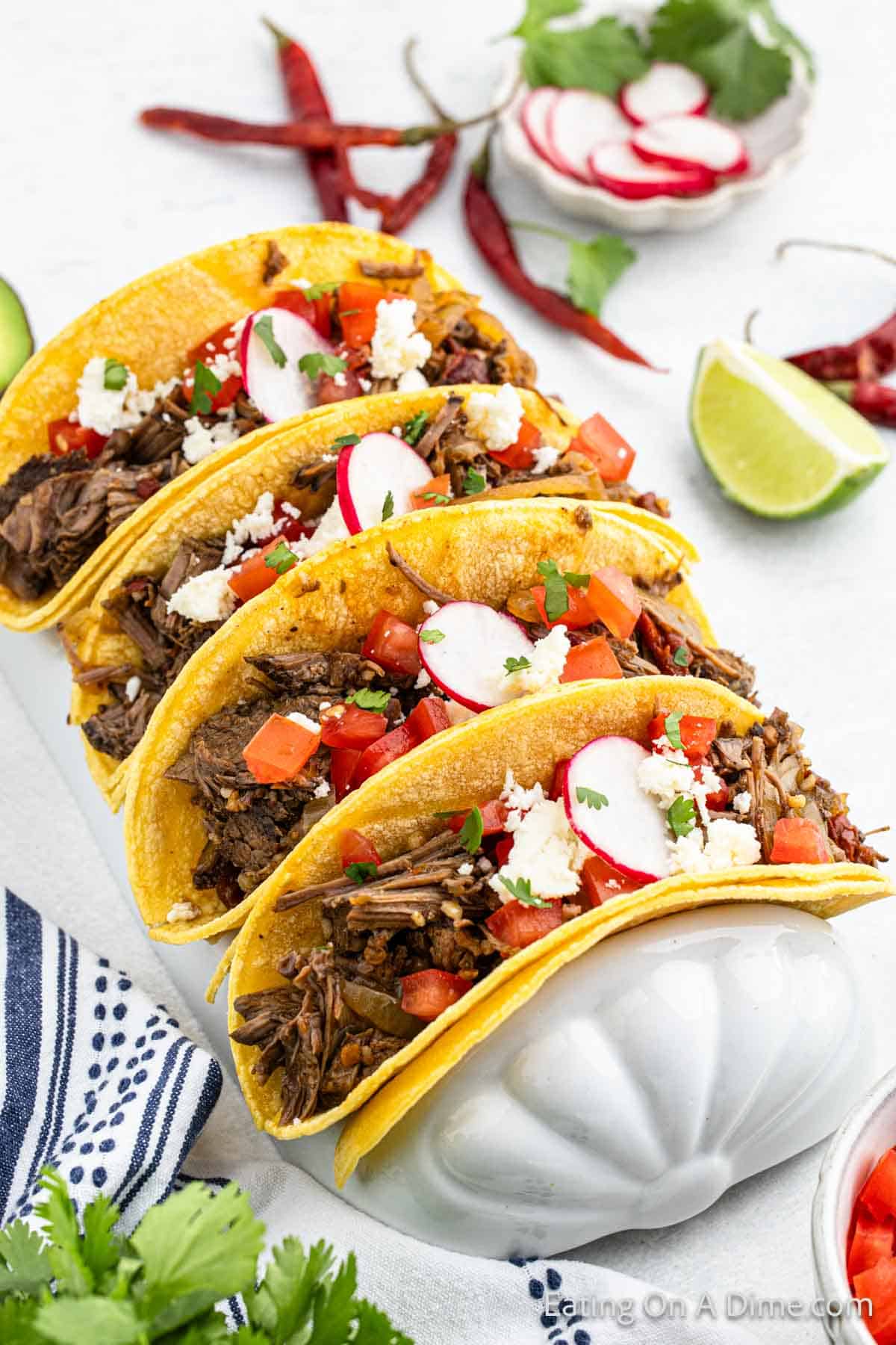 Shredded beef in corn tortillas in a taco stand topped with diced tomatoes and slice radishes