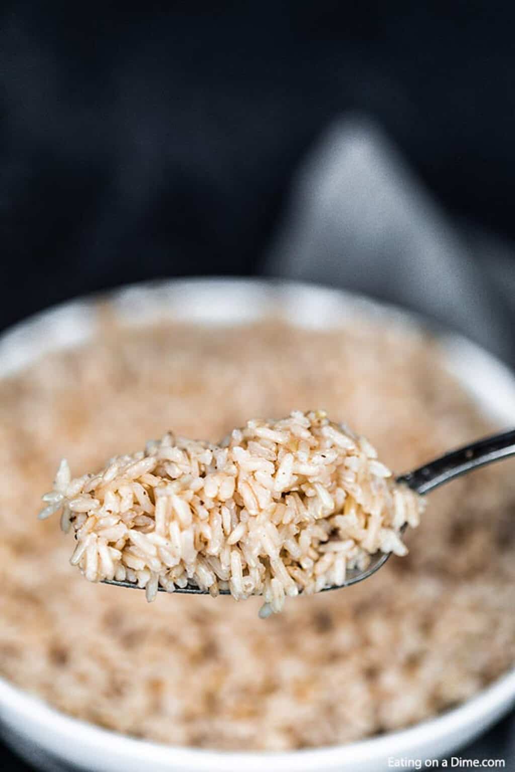 Microwave Brown Rice - How to Make Rice in Microwave