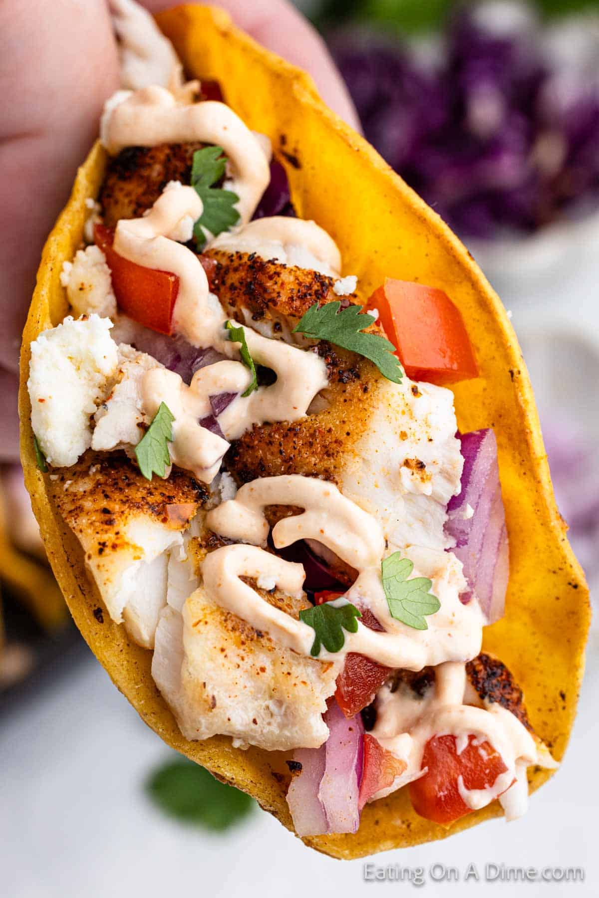 A close-up of a hand holding a taco with grilled fish, diced tomatoes, red onions, fresh cilantro, and a drizzle of creamy sauce, all encased in a yellow corn tortilla. The background has a blurred image of purple cabbage—an easy fish tacos recipe come to life.