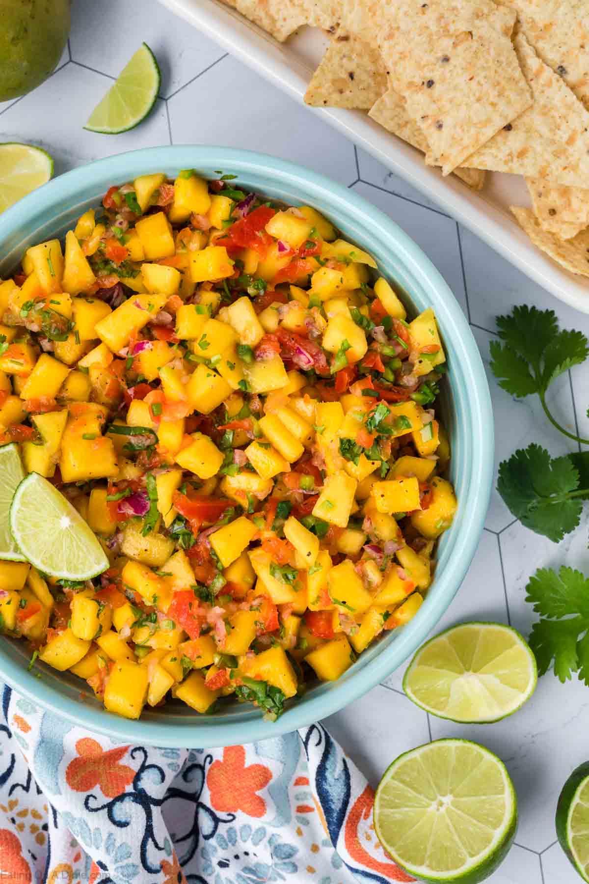 Mango Salsa in a bowl with a side of tortilla chips