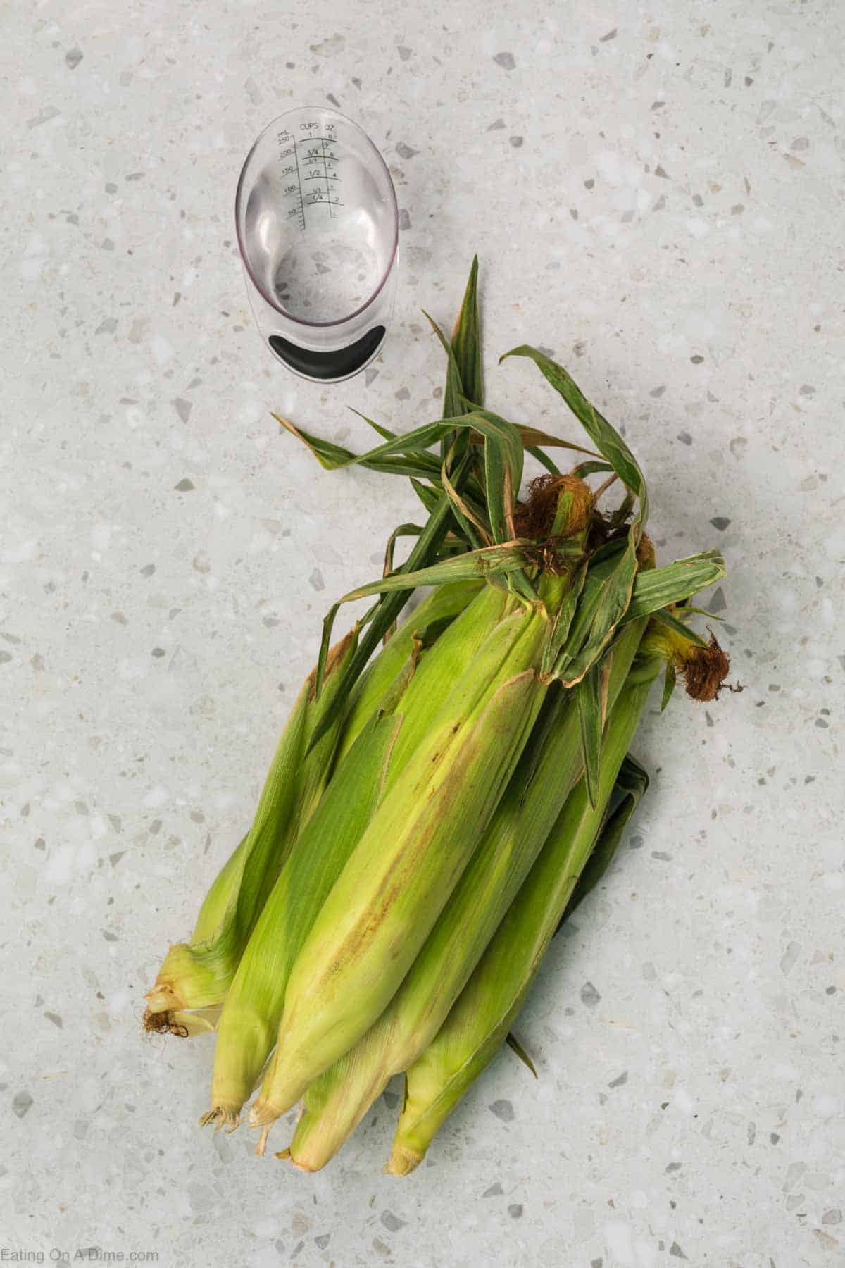 Corn on the cob with husk on with a measuring cup of water