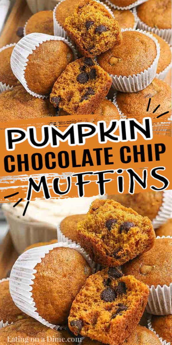 Pumpkin chocolate chip muffins - pumpkin muffins with chocolate chips