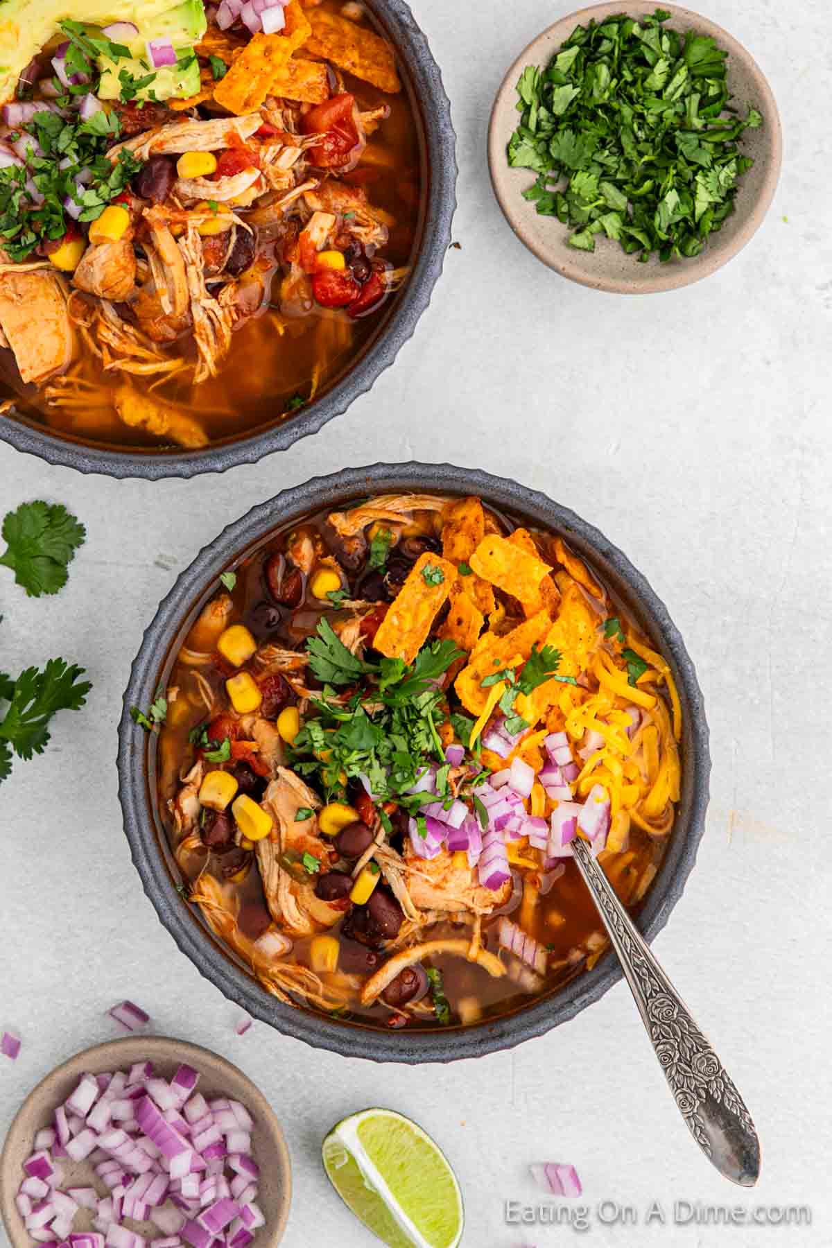 Chicken Tortilla Soup in a bowl topped with fresh cilantro, red onions and tortilla strips