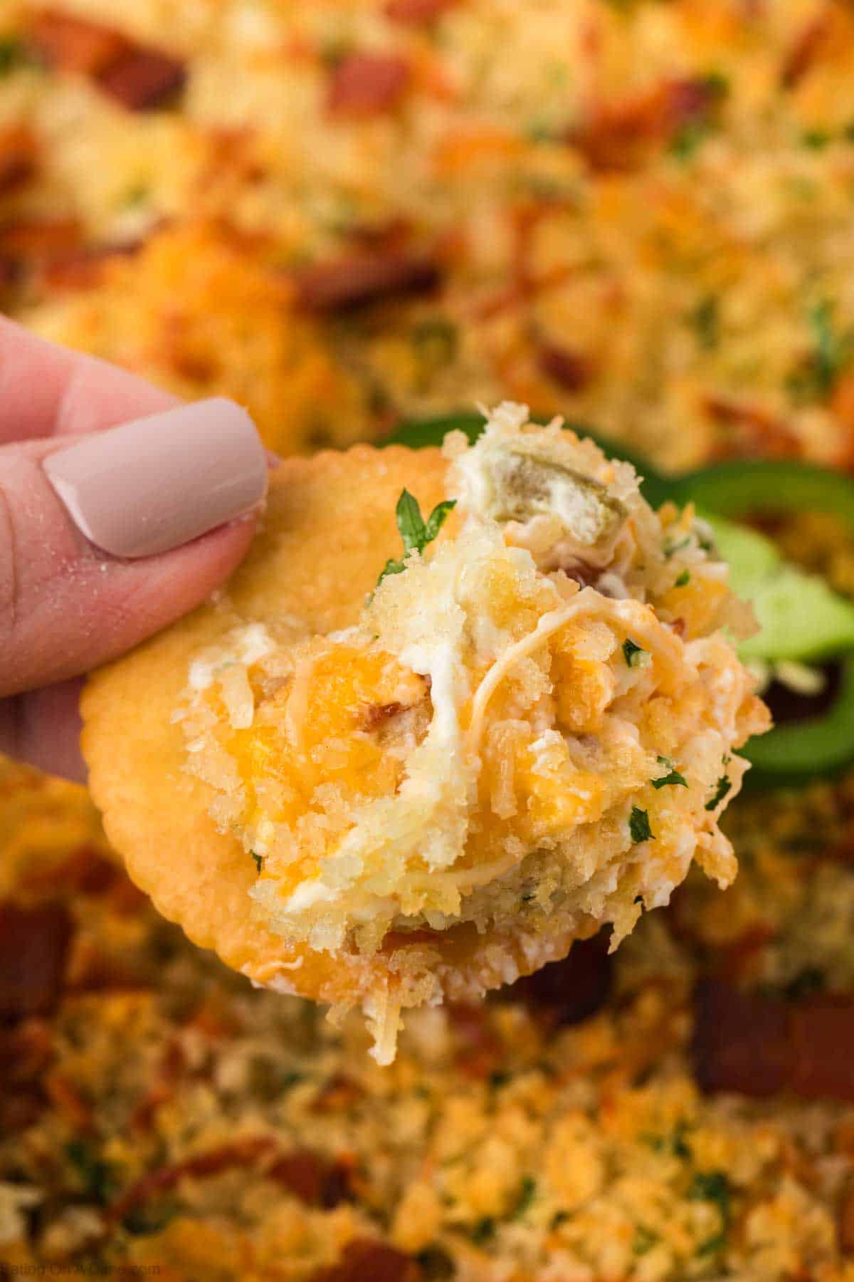 A hand holding a cracker topped with a cheesy jalapeño popper mixture, inspired by the Jalapeño Popper Dip Recipe, features melted cheese and green jalapeño pieces, with a crunchy golden breadcrumb topping in the background.