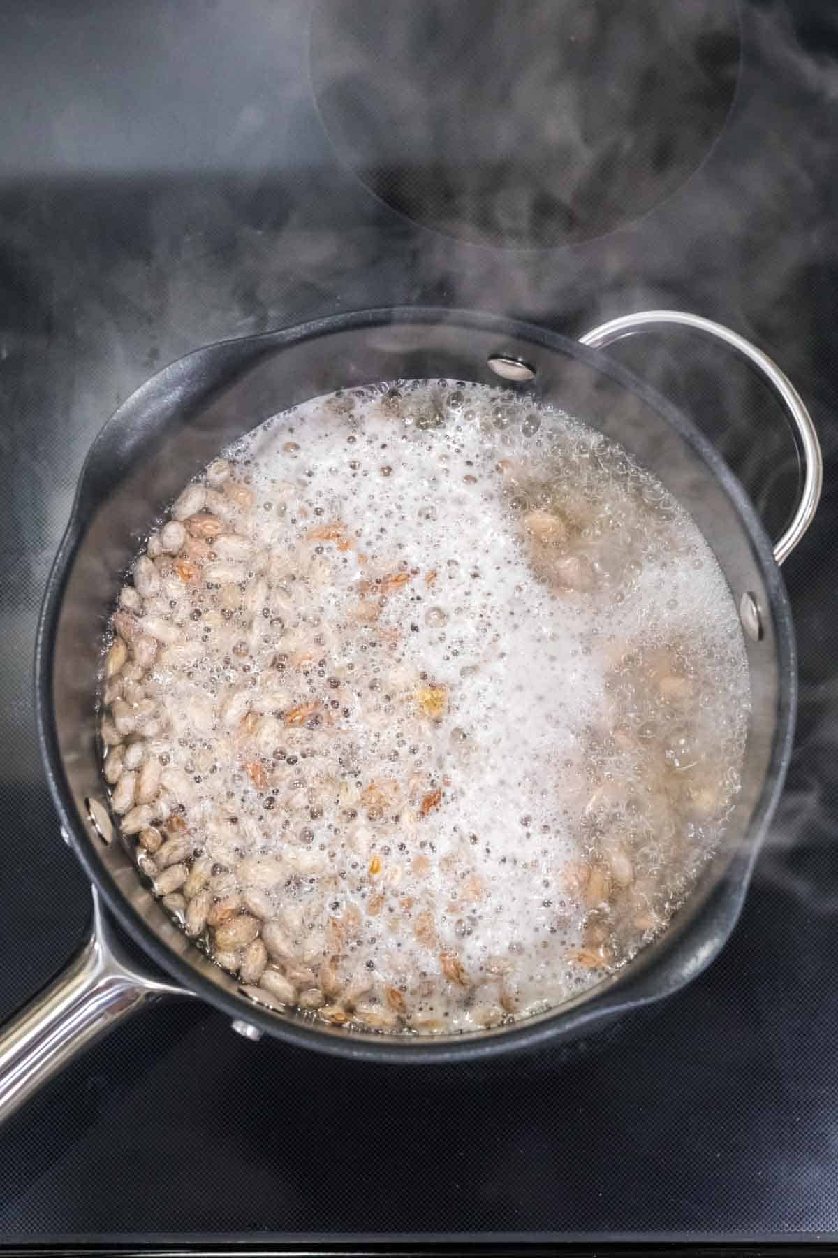 Beans in a large pot with boiling water