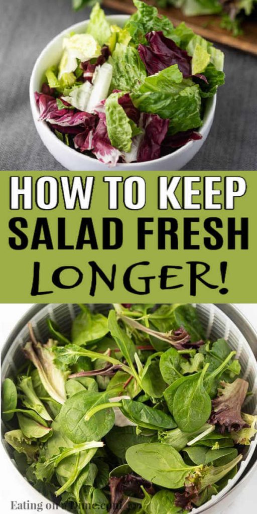 How To Keep Salad Fresh - Learn The Best Tips And Tricks