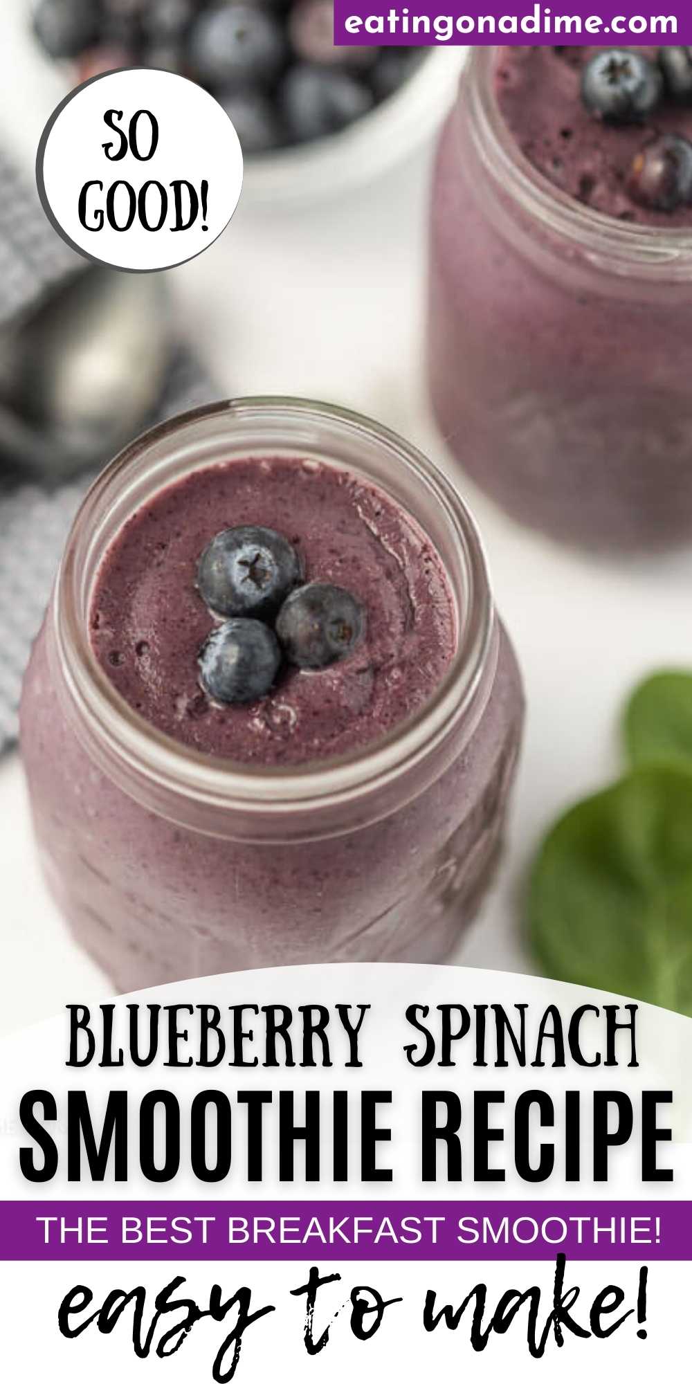 Blueberry Spinach Spirulina Smoothie - Healthy Little Vittles