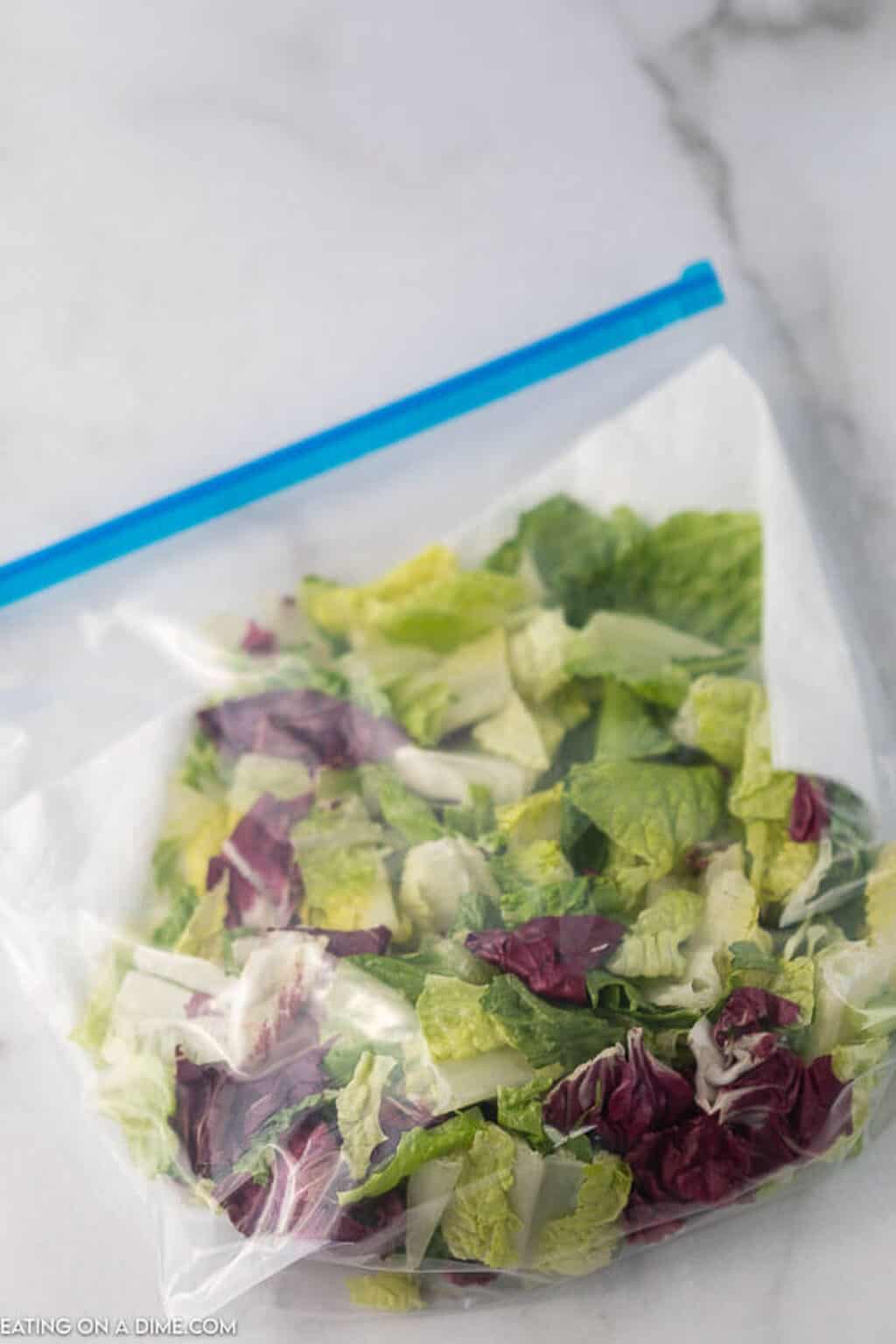 How to keep salad fresh learn the best tips and tricks