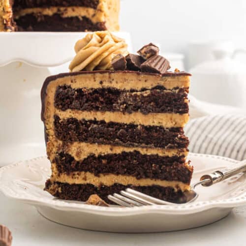 Chocolate Peanut Butter cake