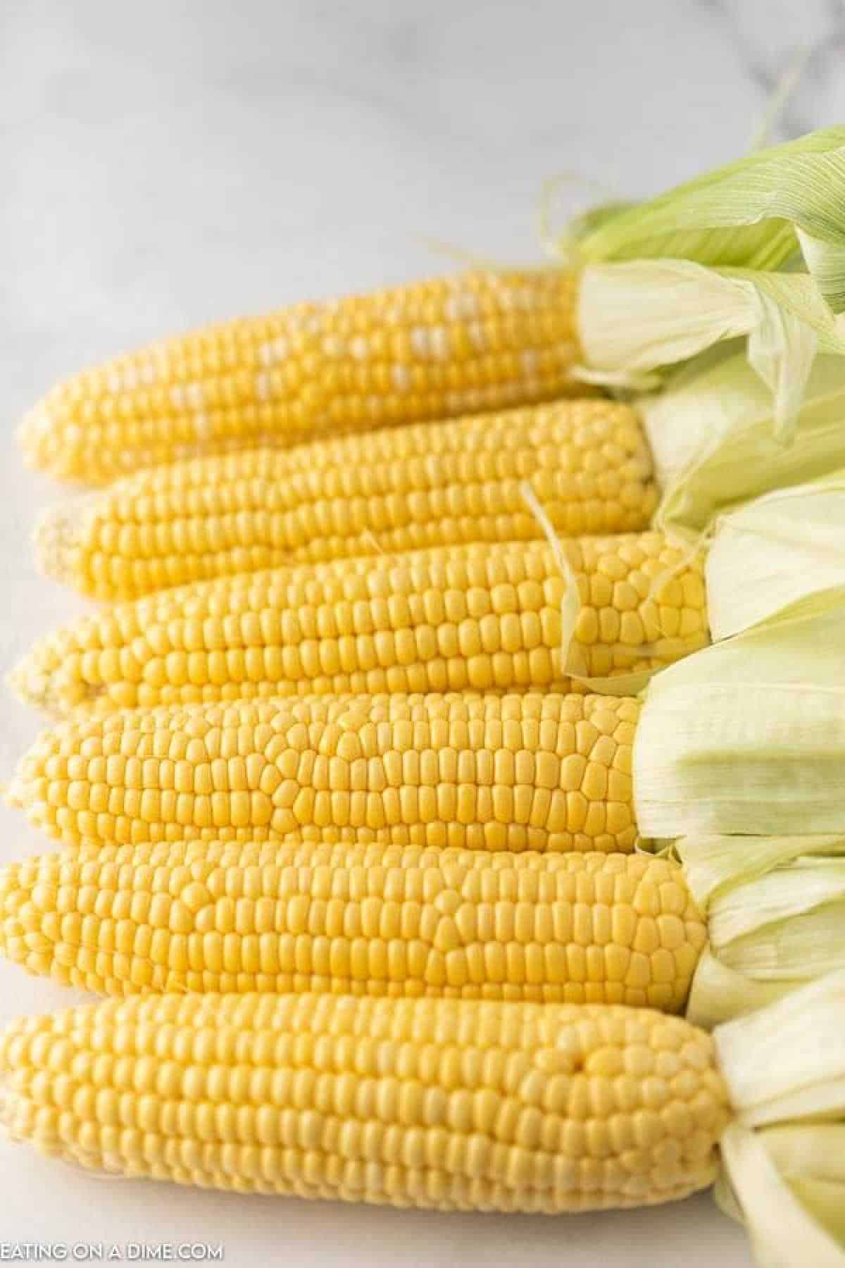 A close-up of several fresh ears of corn with green husks partially removed reveals bright yellow kernels, perfect for learning how to freeze corn on the cob. The corn is arranged in a neat row on a light surface.