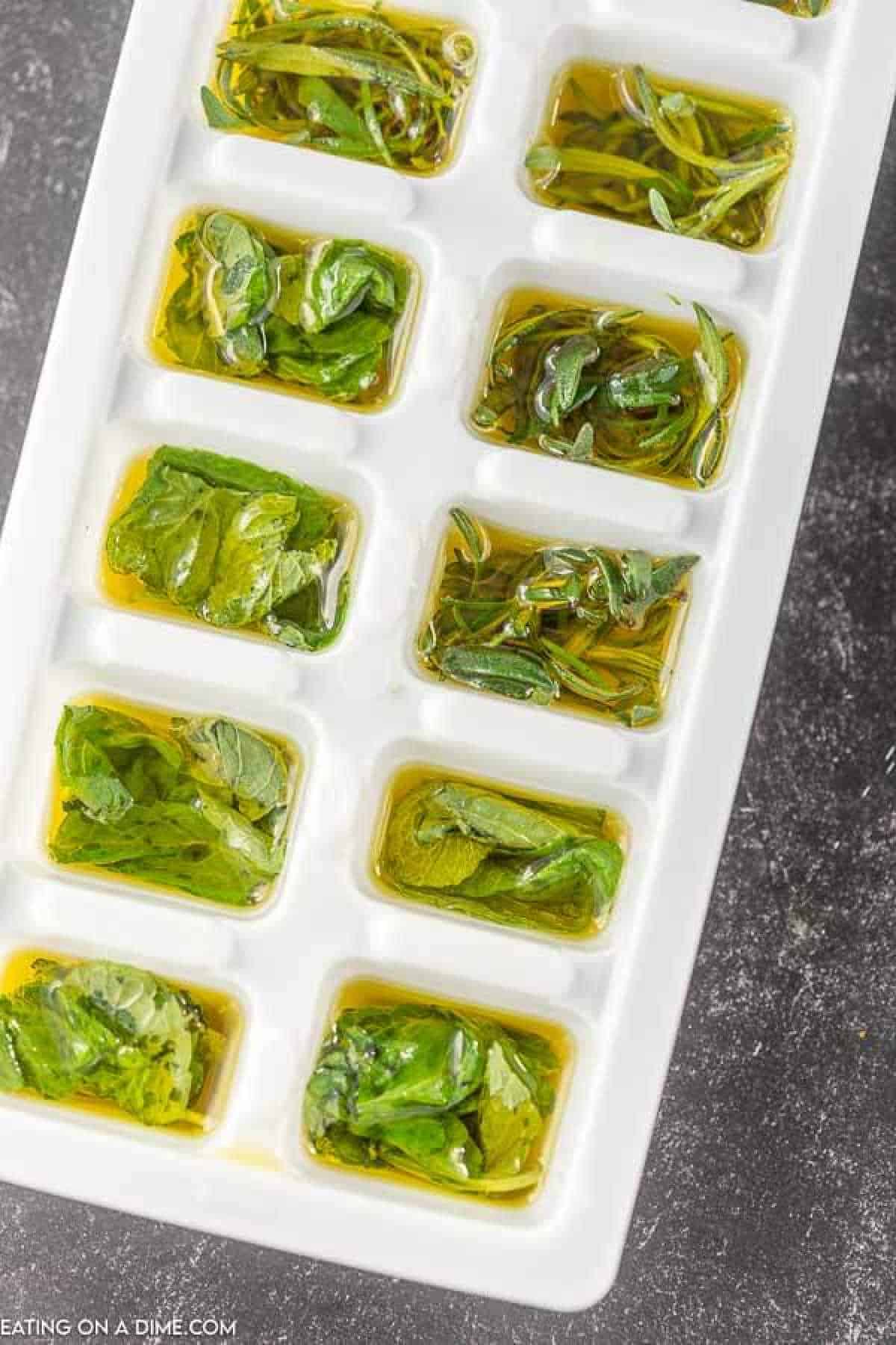 Discover how to freeze herbs effectively with this ice cube tray filled with fresh herbs submerged in olive oil, ready to be frozen on a dark surface.