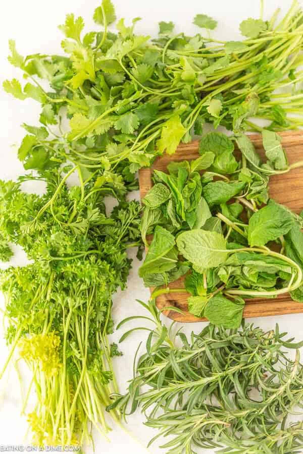 Fresh herbs on a wooden board and white surface, featuring vibrant green leaves and stems of cilantro, mint, parsley, and rosemary. Discover how to freeze herbs to preserve their freshness and flavor for your culinary adventures.