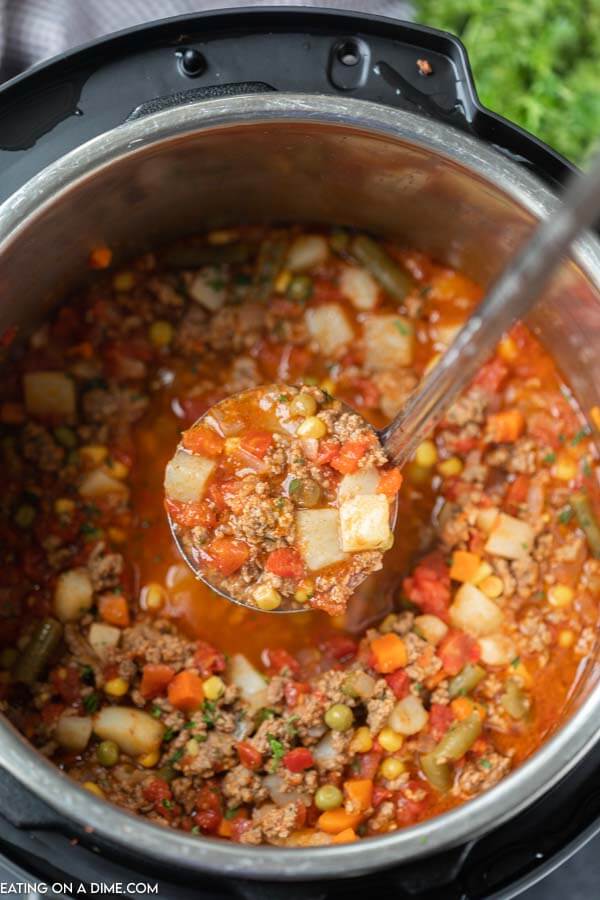 Electric Pressure Cooker Vegetable Soup (Easy Instant Pot Recipe) - Recipes  That Crock!
