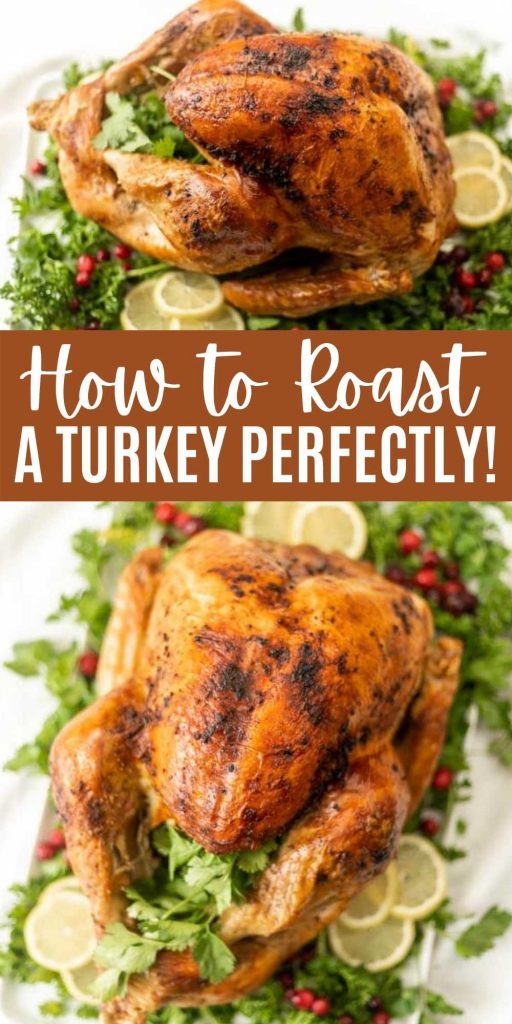 How to roast a turkey - the perfect roast turkey recipe