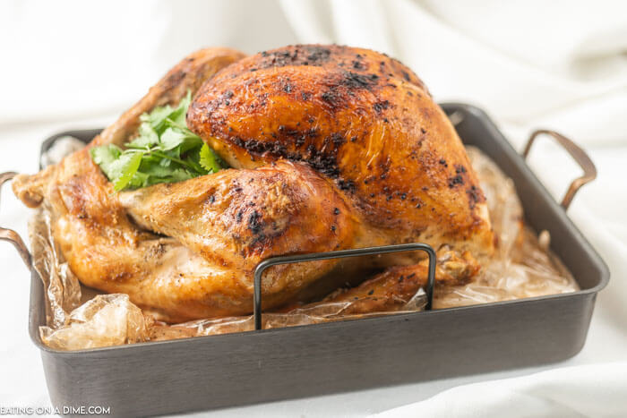 How to Cook Turkey in a Bag - Rae Gun Ramblings