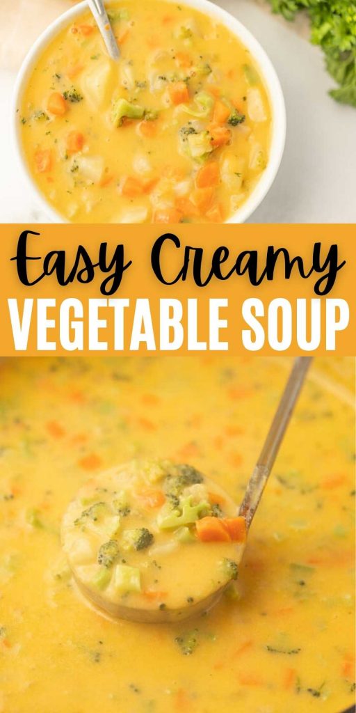 Creamy Vegetable Soup Recipe - Easy Creamy Vegetable Soup