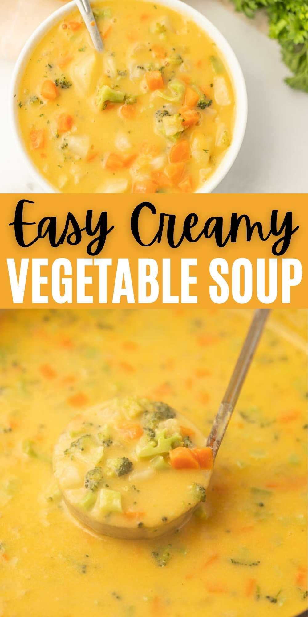Easy Creamy Vegetable Soup