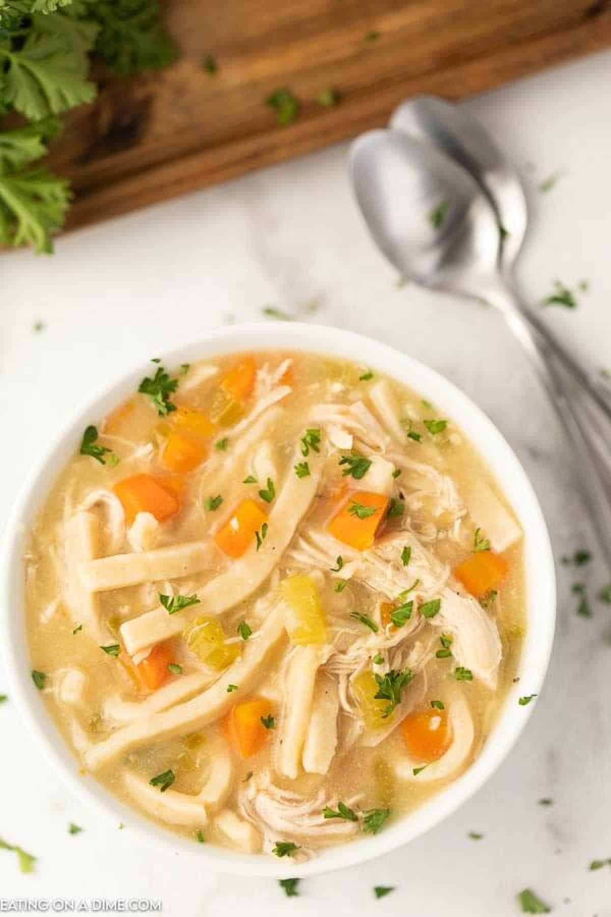 Chicken and Noodles in a bowl