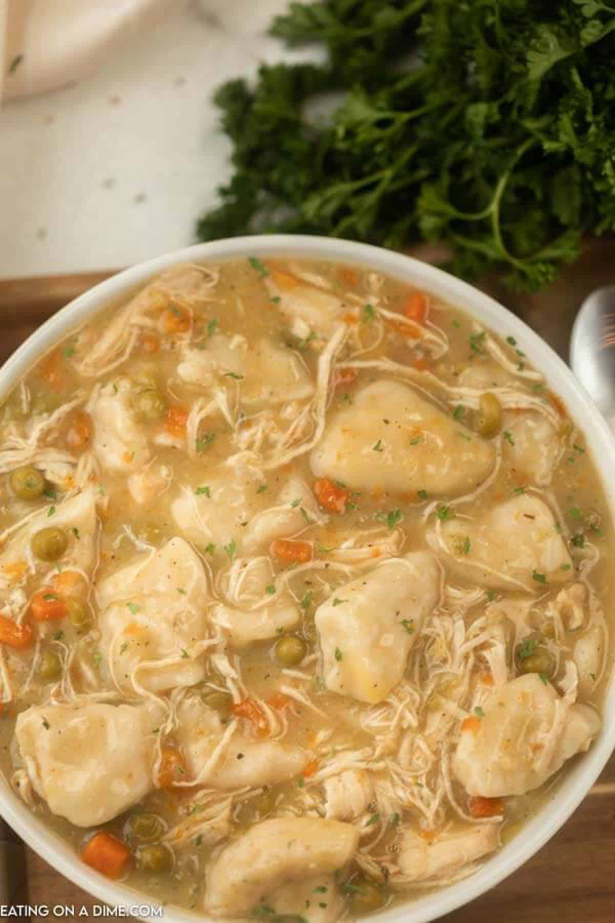 bowl of chicken and dumplings