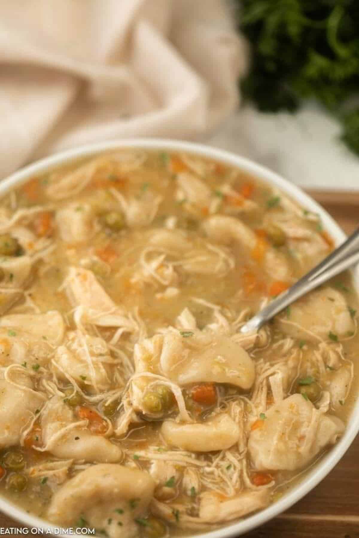 bowl of chicken and dumplings