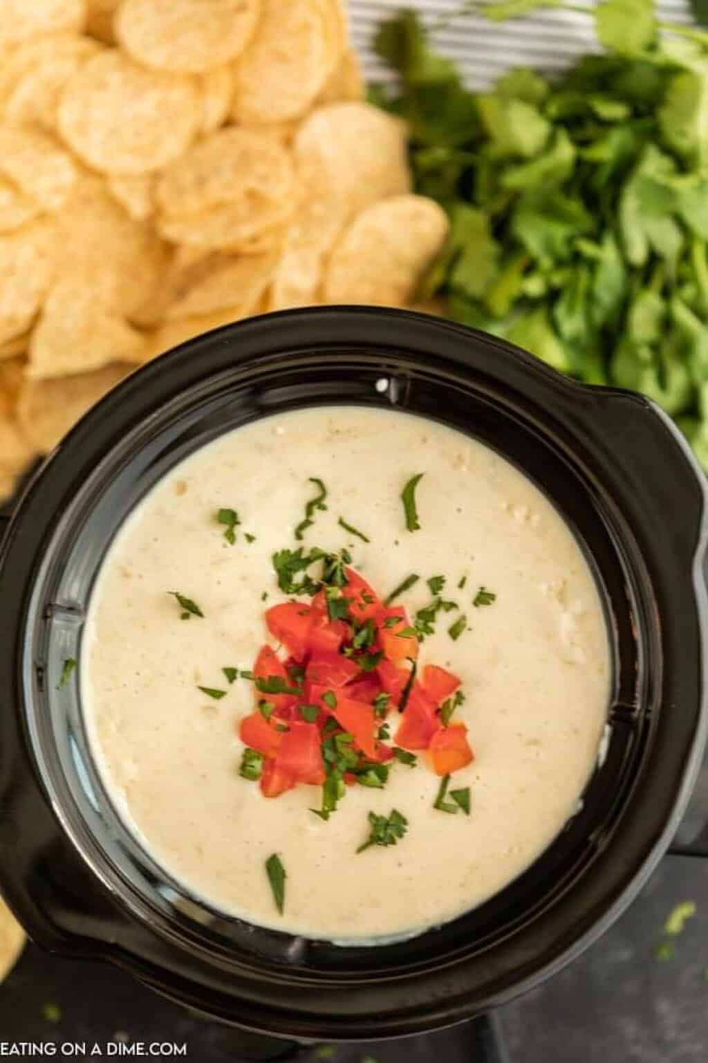 Crock Pot White Queso Dip (& VIDEO!)- White Queso Dip Recipe