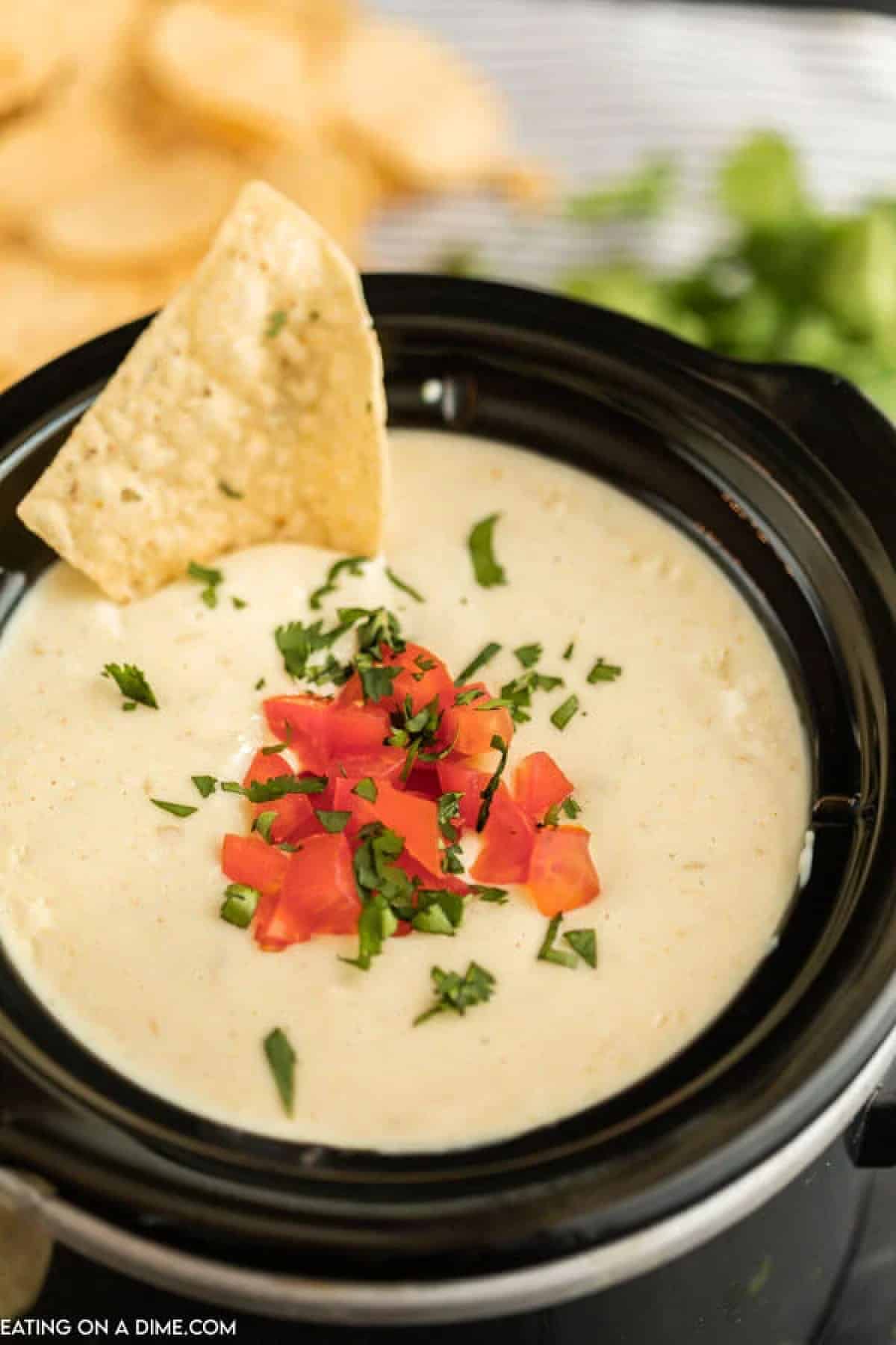 Slow Cooker Beef Queso Dip - The Recipe Pot